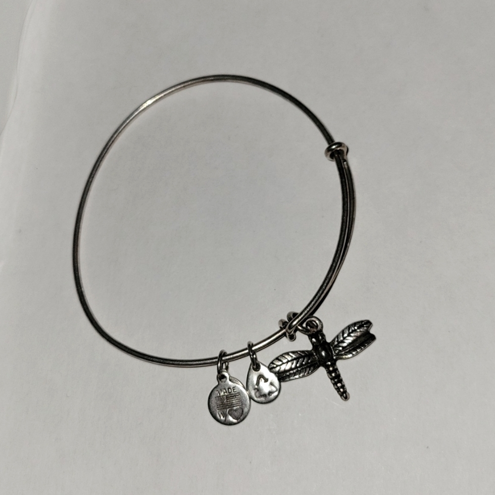 🌸 dragon fly Alex and ani